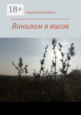 Винилом в висок