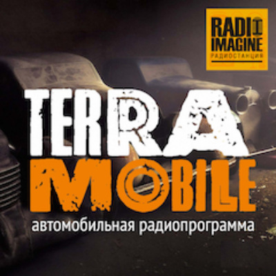 Автомобильный бизнес в России — тенденции и ситуация (018)