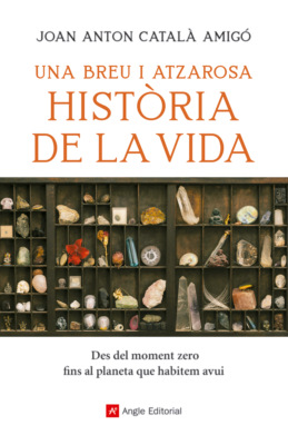 Una breu i atzarosa història de la vida