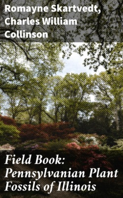 Field Book: Pennsylvanian Plant Fossils of Illinois
