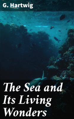 The Sea and Its Living Wonders