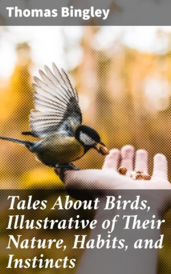 Tales About Birds, Illustrative of Their Nature, Habits, and Instincts