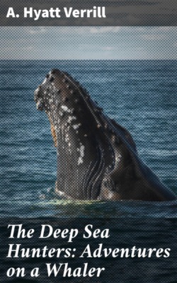 The Deep Sea Hunters: Adventures on a Whaler