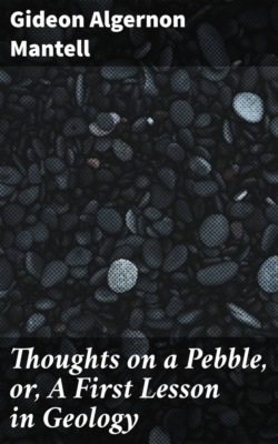Thoughts on a Pebble, or, A First Lesson in Geology