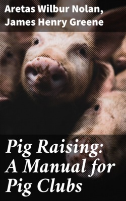Pig Raising: A Manual for Pig Clubs