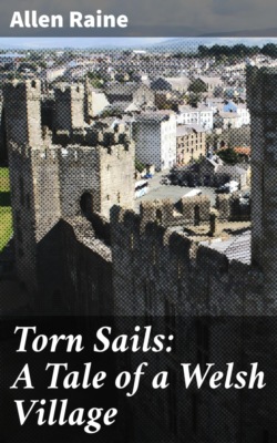Torn Sails: A Tale of a Welsh Village