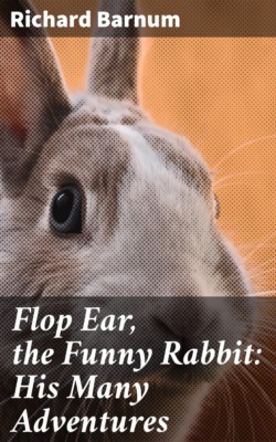 Flop Ear, the Funny Rabbit: His Many Adventures