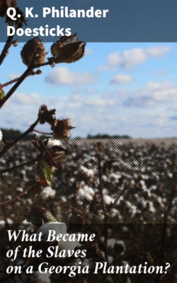 What Became of the Slaves on a Georgia Plantation?