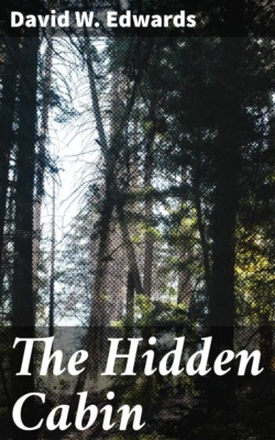 The Hidden Cabin