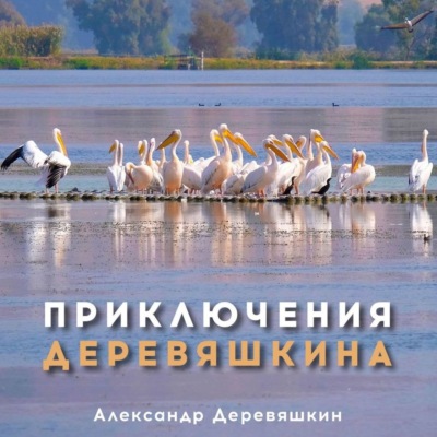 Приключения Деревяшкина