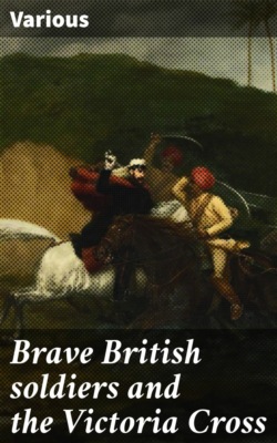 Brave British soldiers and the Victoria Cross