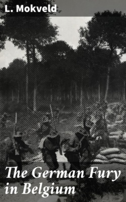 The German Fury in Belgium