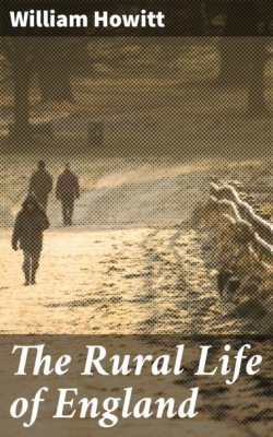 The Rural Life of England