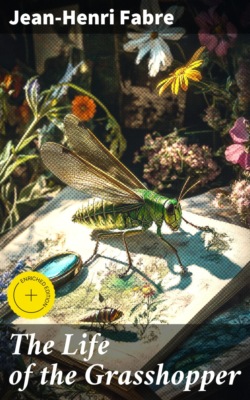 The Life of the Grasshopper