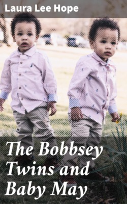 The Bobbsey Twins and Baby May