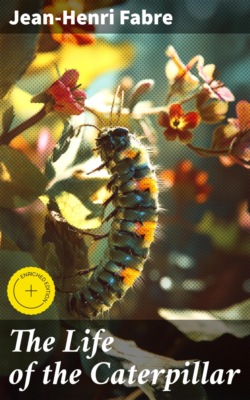 The Life of the Caterpillar