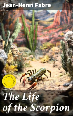 The Life of the Scorpion