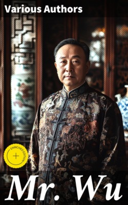 Mr. Wu