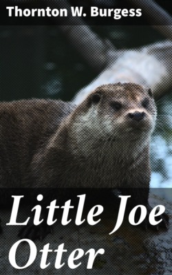 Little Joe Otter