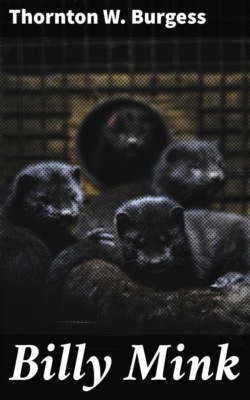 Billy Mink