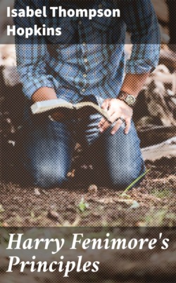 Harry Fenimore's Principles