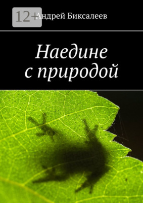 Наедине с природой