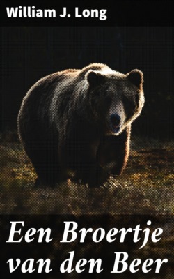 Een Broertje van den Beer