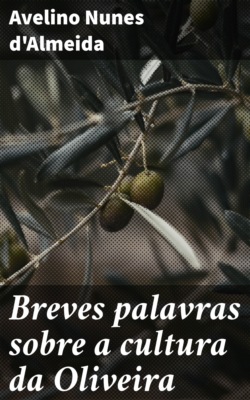 Breves palavras sobre a cultura da Oliveira