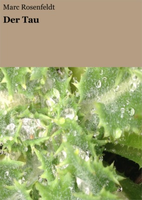 Der Tau