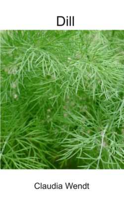 Dill