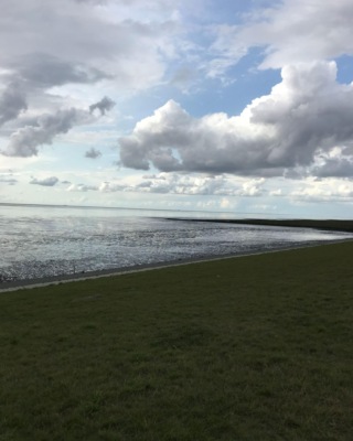 Strandtrift