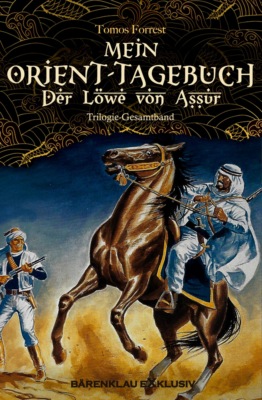 Mein Orient-Tagebuch: Der Löwe von Aššur