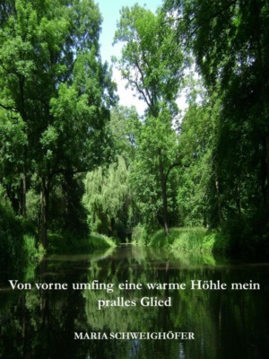 Von vorne umfing eine warme Höhle mein pralles Glied