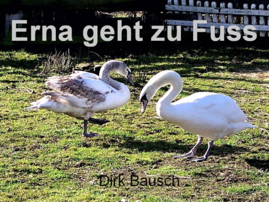 Erna geht zu Fuss