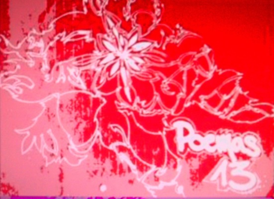 POEMAS 13