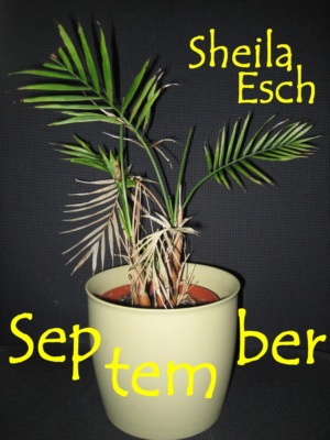 September