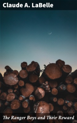 The Ranger Boys and Their Reward