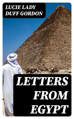Letters from Egypt