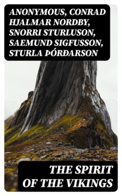 The Spirit of the Vikings