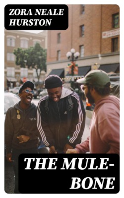 The Mule-Bone
