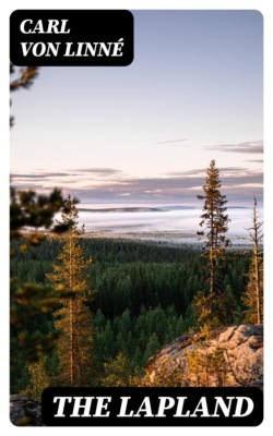 The Lapland