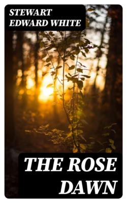 The Rose Dawn