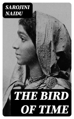 The Bird of Time