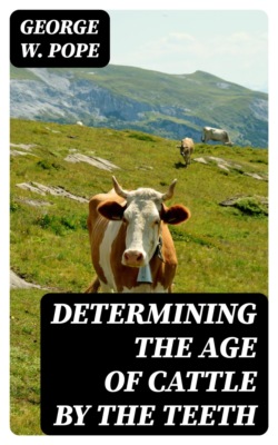 Determining the Age of Cattle by the Teeth