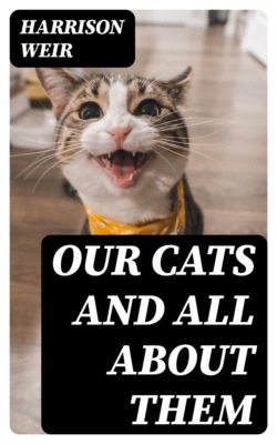 Our Cats and All About Them