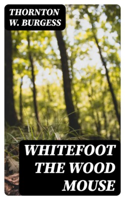 Whitefoot the Wood Mouse
