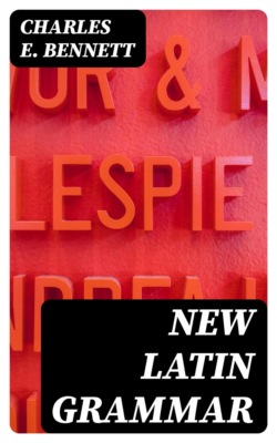 New Latin Grammar