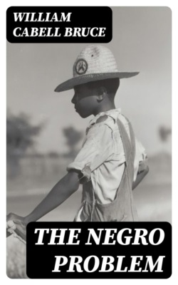 The Negro Problem