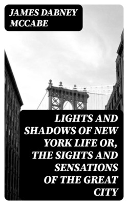 Lights and Shadows of New York Life or, the Sights and Sensations of the Great City