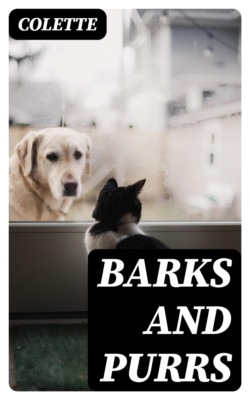 Barks and Purrs